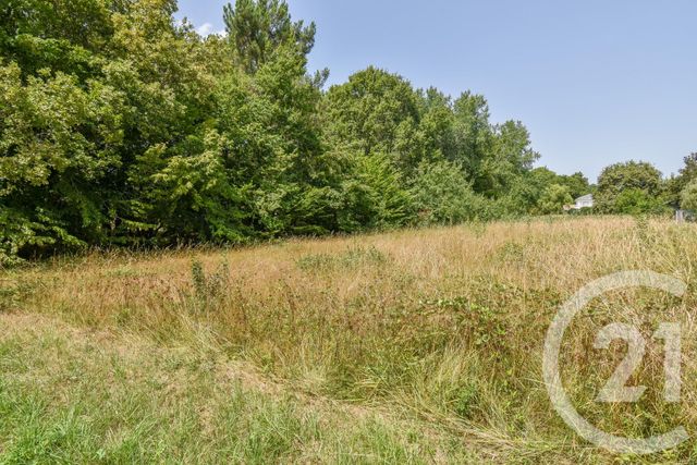 terrain à vendre - 3179.0 m2 - LE TAILLAN MEDOC - 33 - AQUITAINE - Century 21 Kadima