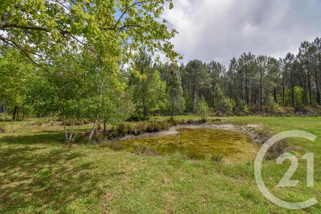 maison à vendre - 7 pièces - 246.34 m2 - STE HELENE - 33 - AQUITAINE - Century 21 Kadima maison à vendre - 7 pièces - 246.34 m2 - STE HELENE - 33 - AQUITAINE - Century 21 Kadima