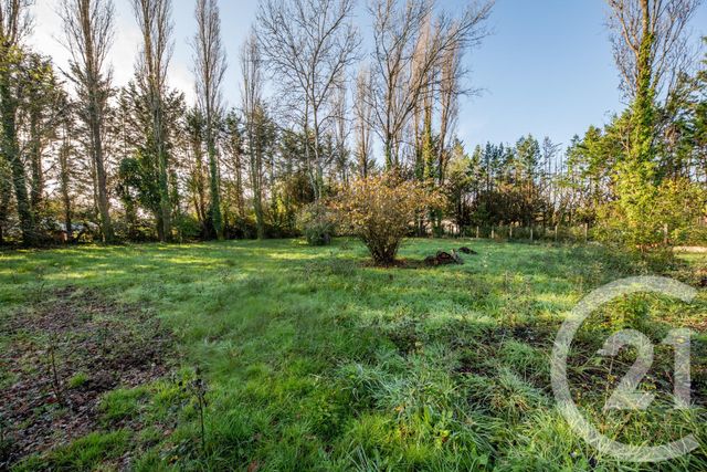 terrain à vendre - 1140.0 m2 - LE TAILLAN MEDOC - 33 - AQUITAINE - Century 21 Kadima