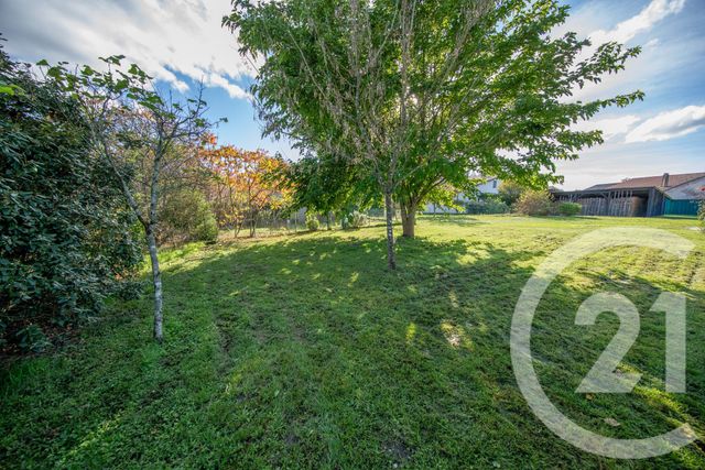 Terrain à vendre LISTRAC MEDOC