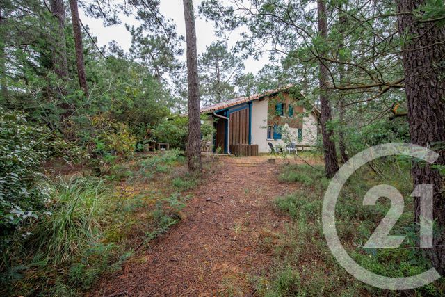 maison à vendre - 3 pièces - 37.64 m2 - LACANAU - 33 - AQUITAINE - Century 21 Kadima