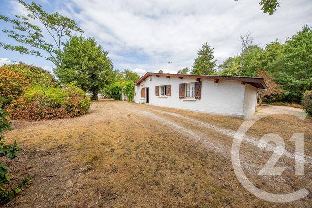 maison - ST MEDARD EN JALLES - 33