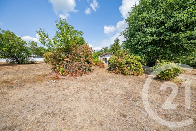 maison à vendre - 6 pièces - 129.7 m2 - ST MEDARD EN JALLES - 33 - AQUITAINE - Century 21 Kadima