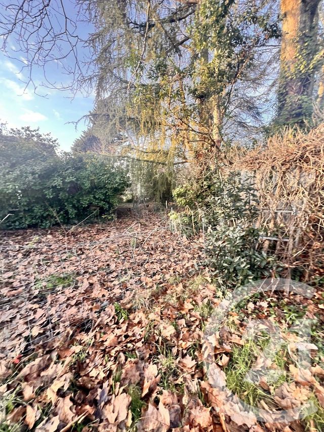 terrain à vendre - 1090.0 m2 - ST MEDARD EN JALLES - 33 - AQUITAINE - Century 21 Kadima
