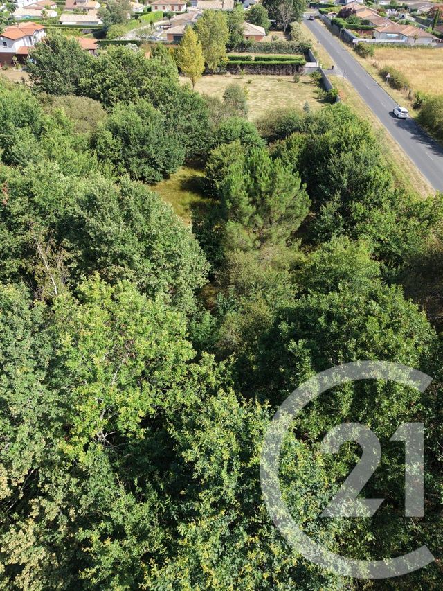 terrain à vendre - 10819.0 m2 - ST MEDARD EN JALLES - 33 - AQUITAINE - Century 21 Kadima