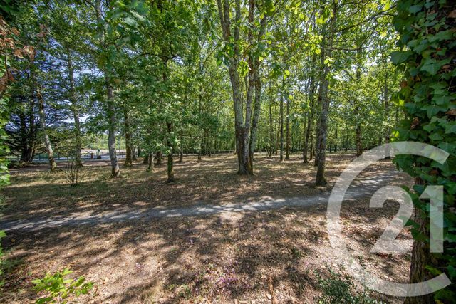 maison à vendre - 6 pièces - 132.0 m2 - LE TAILLAN MEDOC - 33 - AQUITAINE - Century 21 Kadima