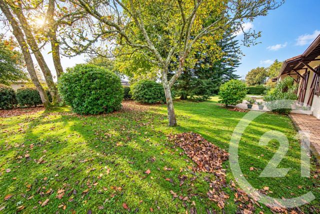 maison à vendre - 7 pièces - 154.24 m2 - ST AUBIN DE MEDOC - 33 - AQUITAINE - Century 21 Kadima